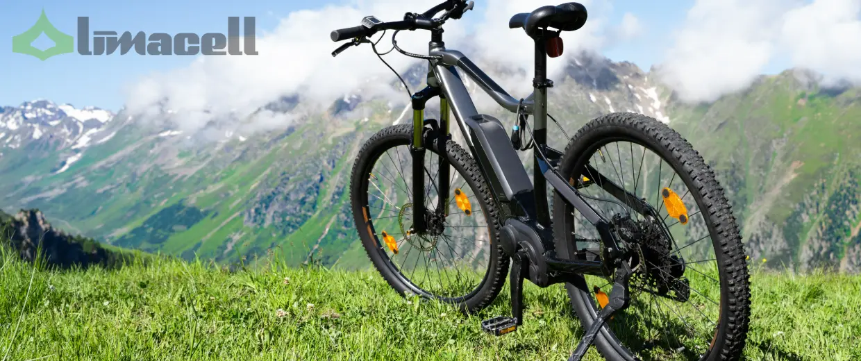e-bike