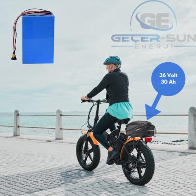 36 Volt 30 Ah LiFePO4 Elektrikli Bisiklet Yedek Batarya