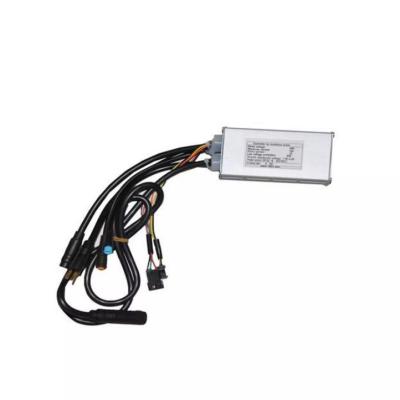 APE RYDER BONOBO ORJİNAL BEYİN 250W