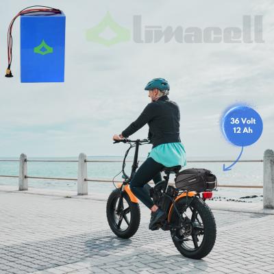 36 Volt 12 Ah LiFePO4 Elektrikli Bisiklet Yedek Batarya
